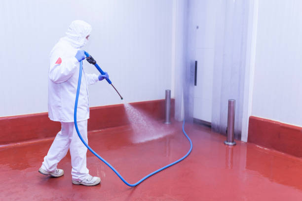 Best Patio and Deck Pressure Washing  in Yorketown, NJ